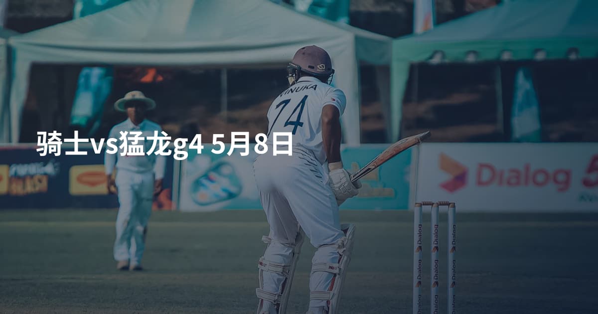 骑士vs猛龙g4 5月8日