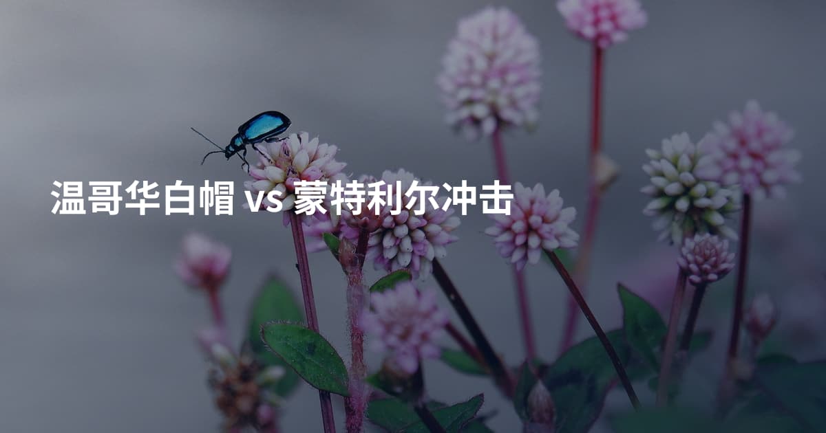 温哥华白帽 vs 蒙特利尔冲击