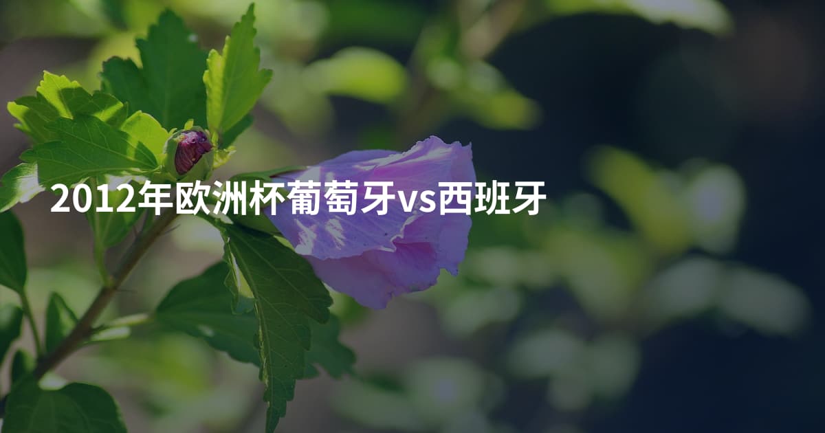 2012年欧洲杯葡萄牙vs西班牙