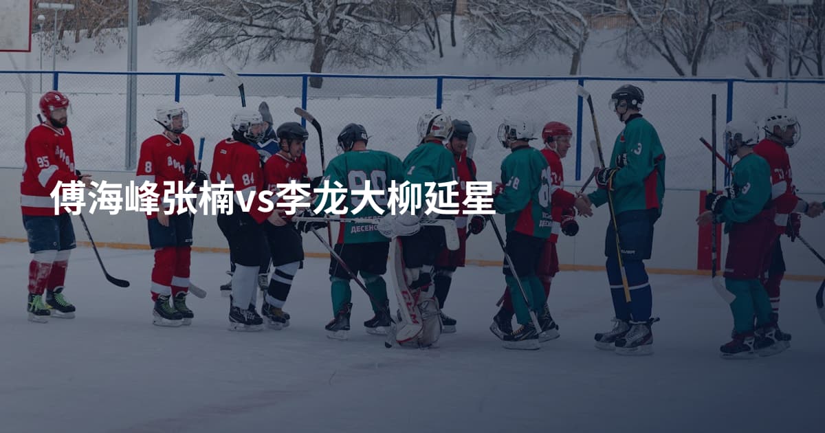 傅海峰张楠vs李龙大柳延星