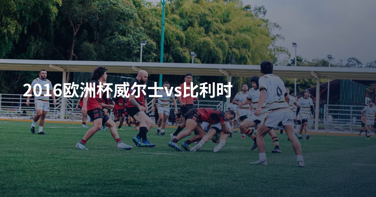 2016欧洲杯威尔士vs比利时