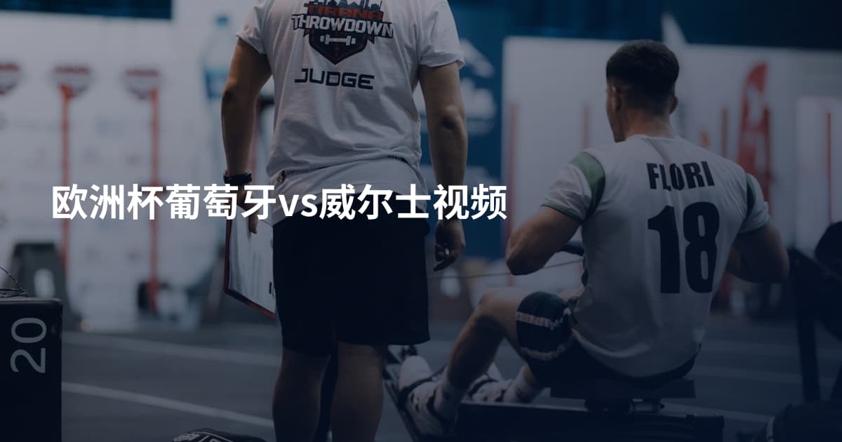 欧洲杯葡萄牙vs威尔士视频