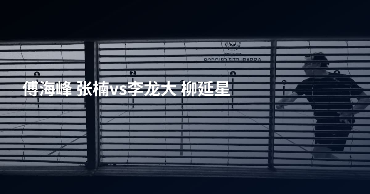 傅海峰 张楠vs李龙大 柳延星