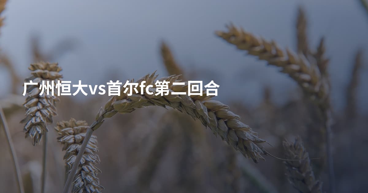 广州恒大vs首尔fc第二回合