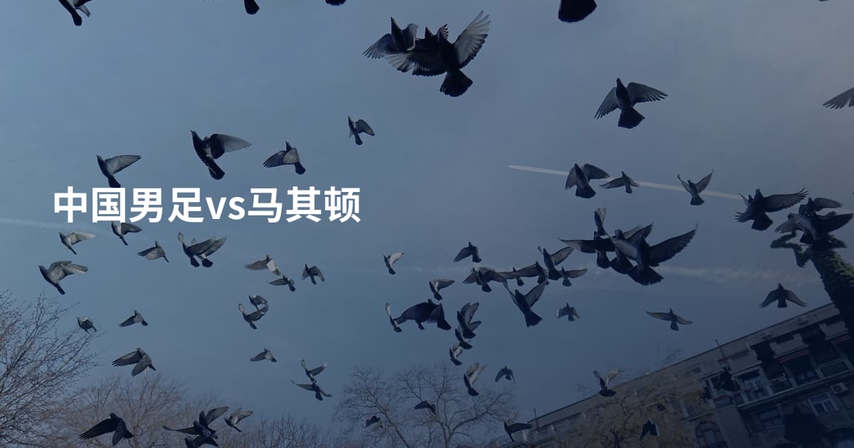 中国男足vs马其顿