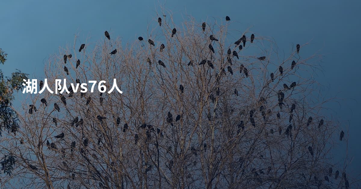 湖人队vs76人