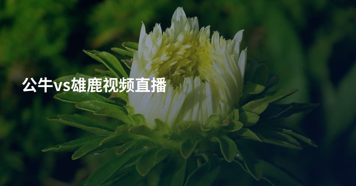 公牛vs雄鹿视频直播