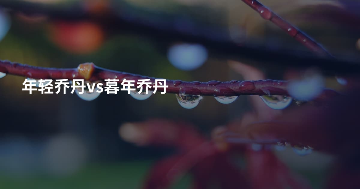 年轻乔丹vs暮年乔丹