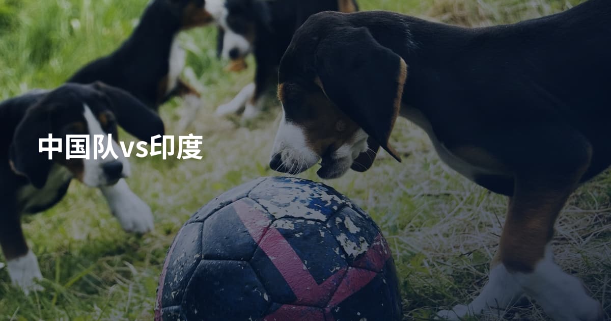 中国队vs印度