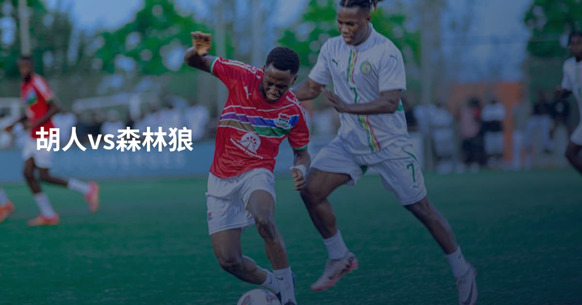 胡人vs森林狼