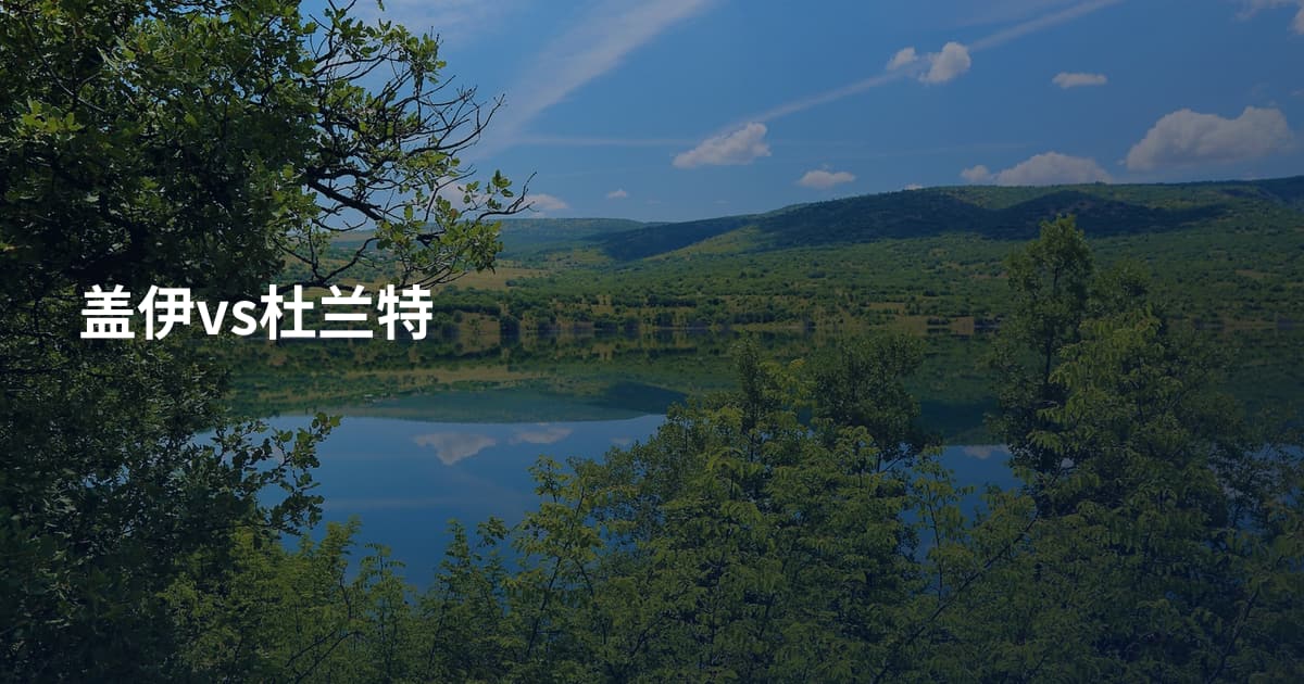 盖伊vs杜兰特