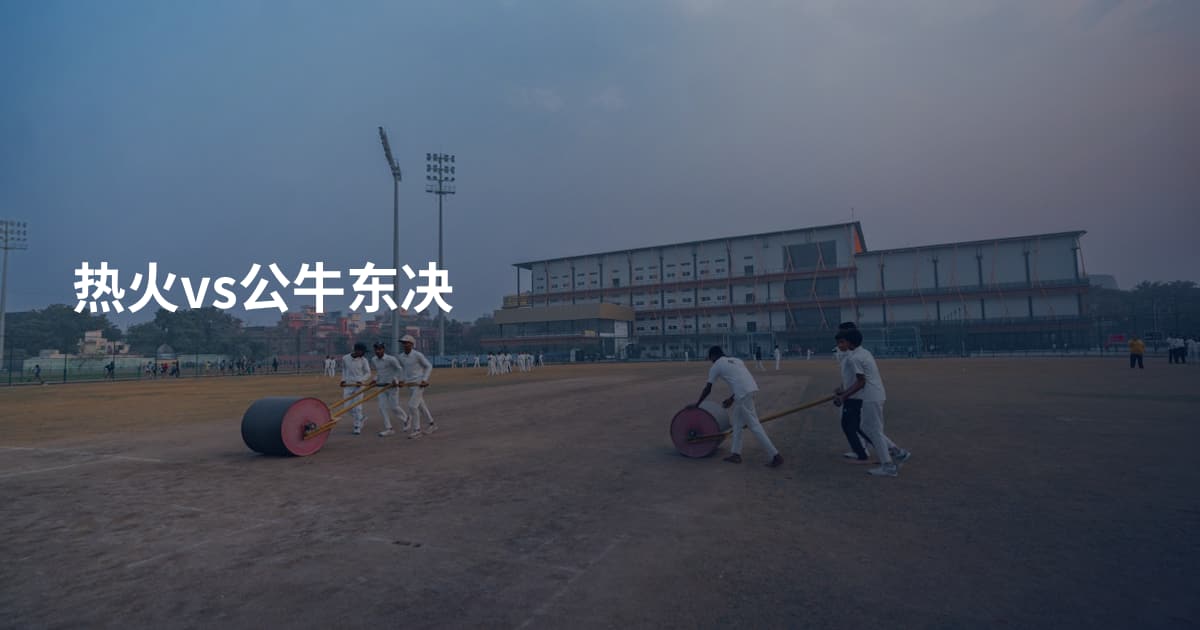 热火vs公牛东决