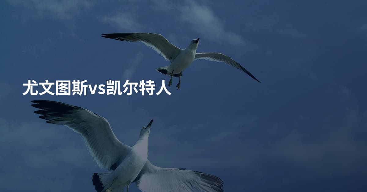 尤文图斯vs凯尔特人