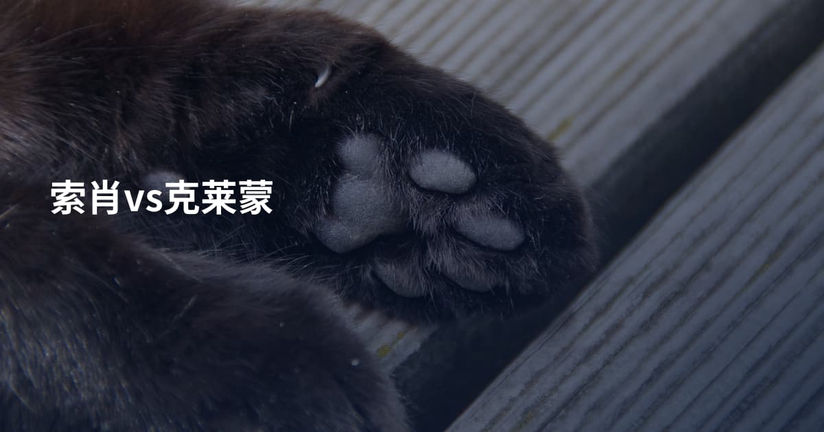 索肖vs克莱蒙