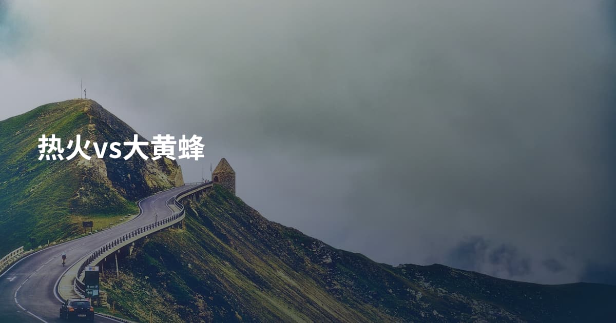 热火vs大黄蜂