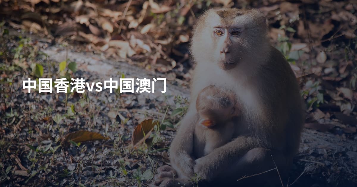 中国香港vs中国澳门
