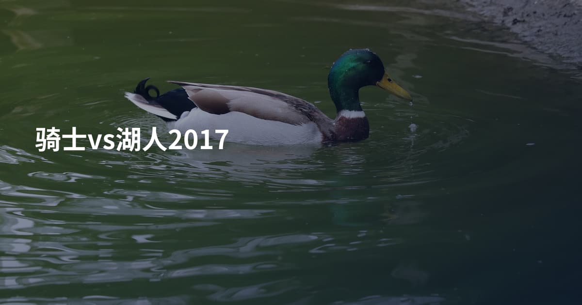 骑士vs湖人2017