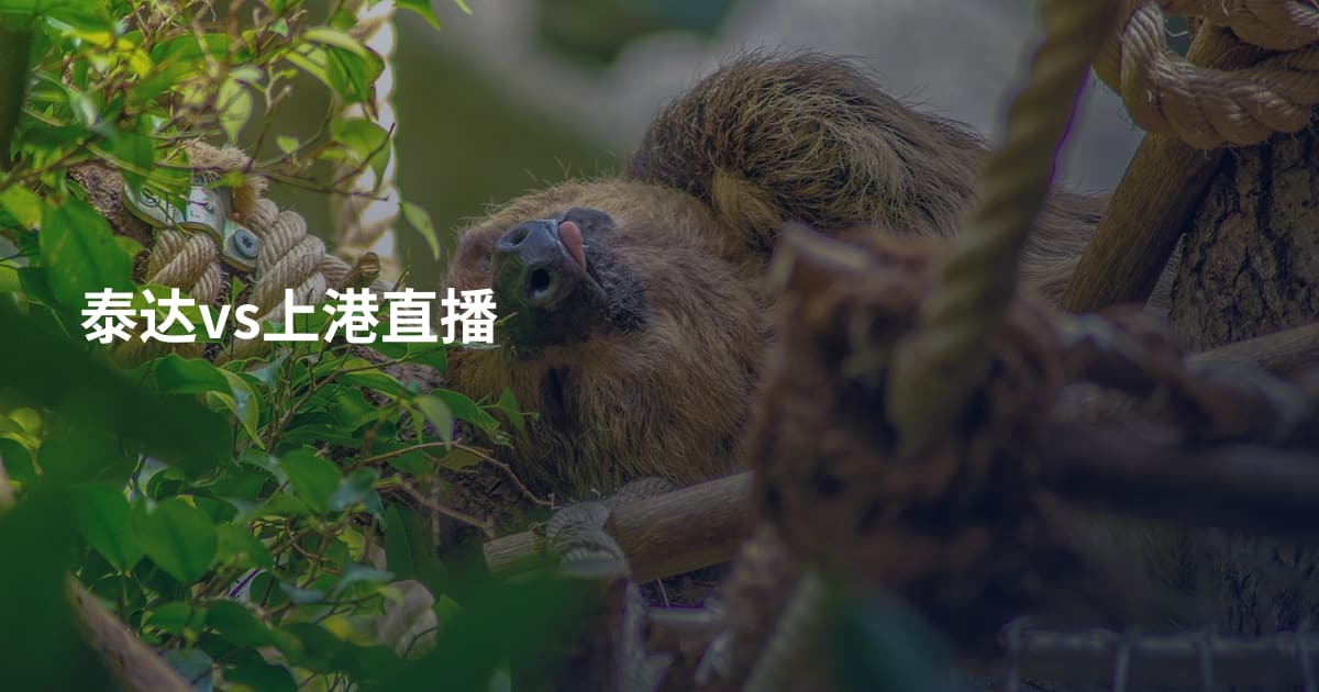 泰达vs上港直播