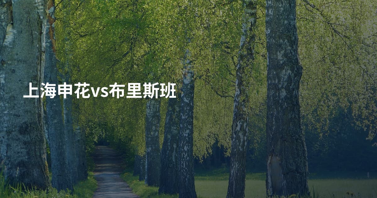 上海申花vs布里斯班