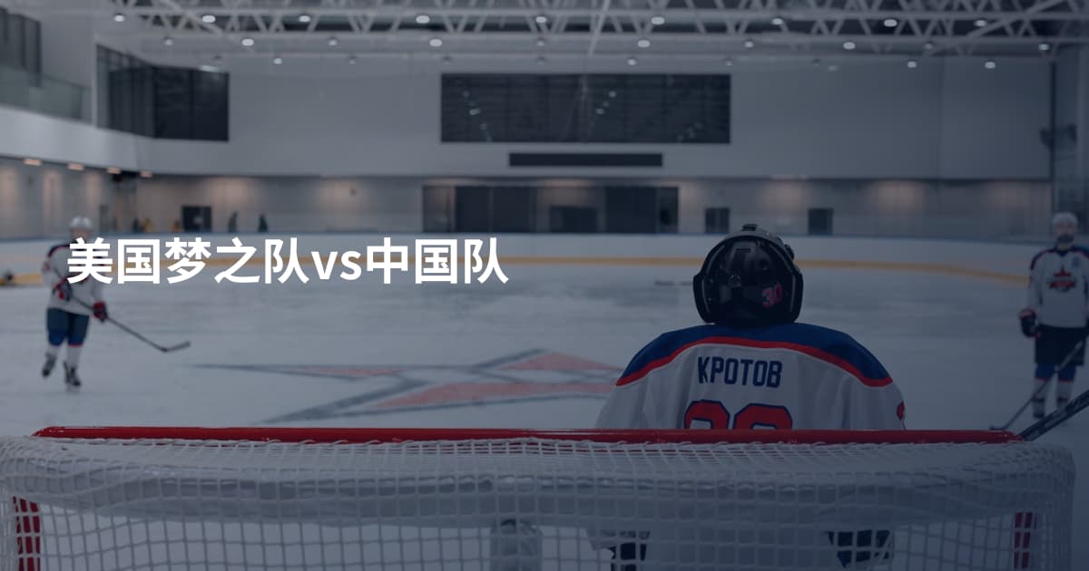 美国梦之队vs中国队