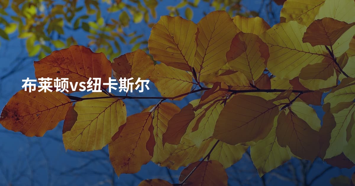 布莱顿vs纽卡斯尔
