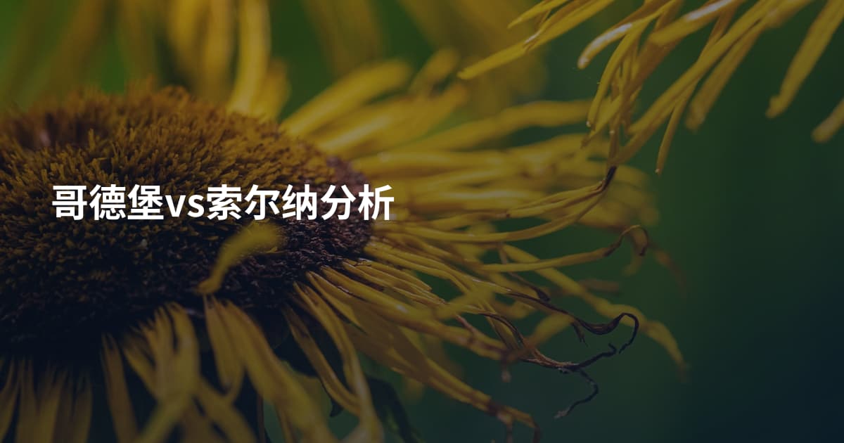 哥德堡vs索尔纳分析