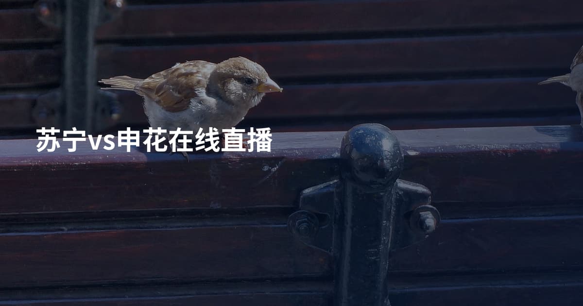苏宁vs申花在线直播