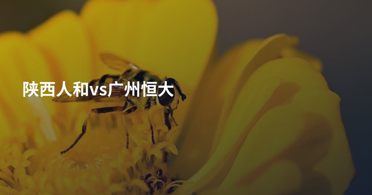 陕西人和vs广州恒大