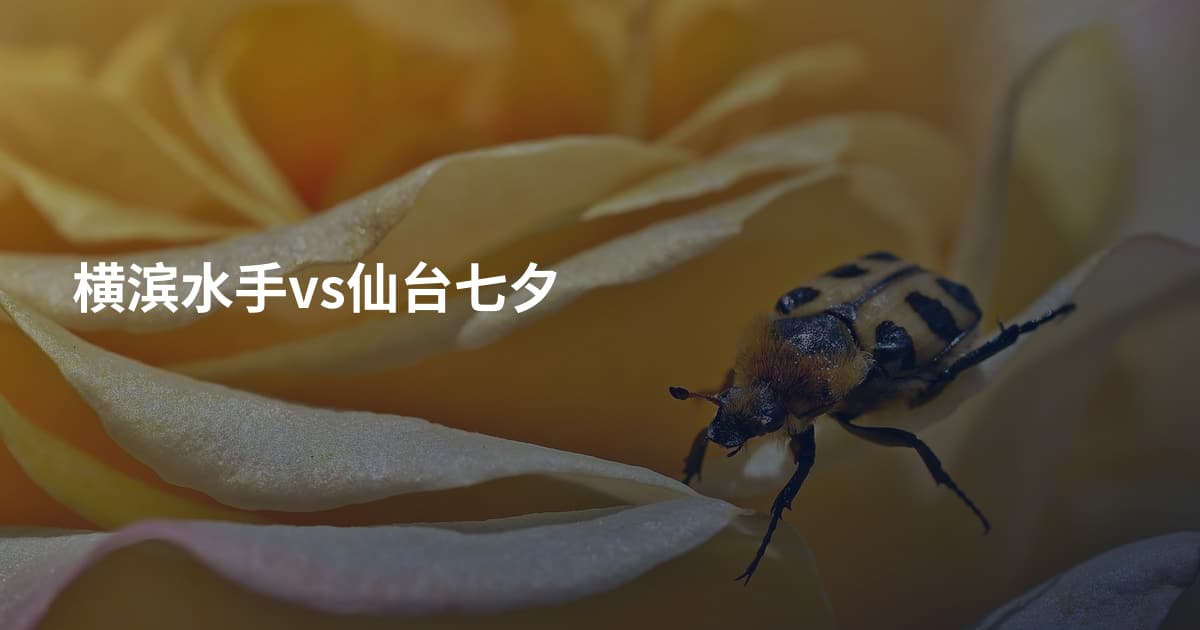 横滨水手vs仙台七夕