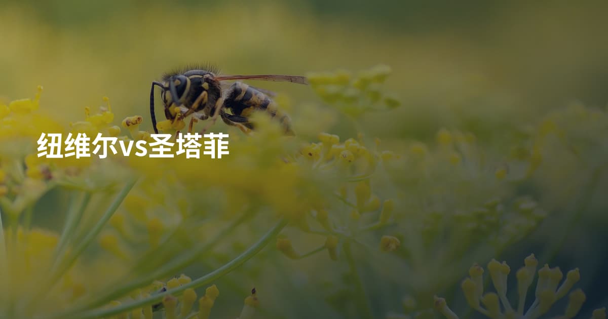 纽维尔vs圣塔菲