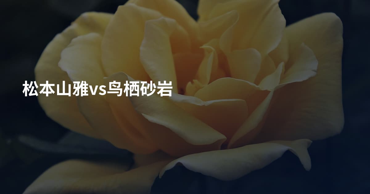 松本山雅vs鸟栖砂岩