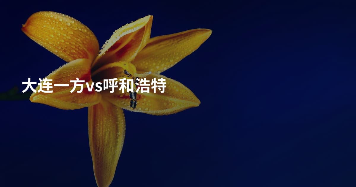 大连一方vs呼和浩特