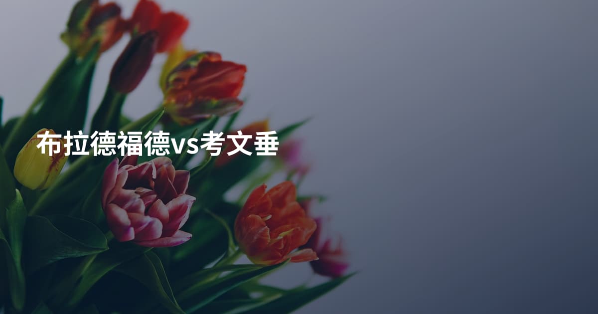 布拉德福德vs考文垂