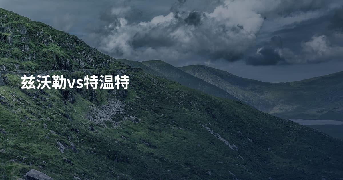 兹沃勒vs特温特