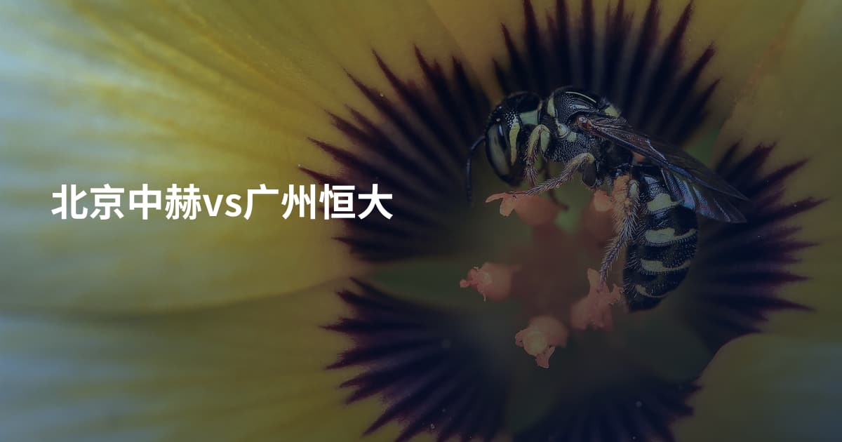 北京中赫vs广州恒大