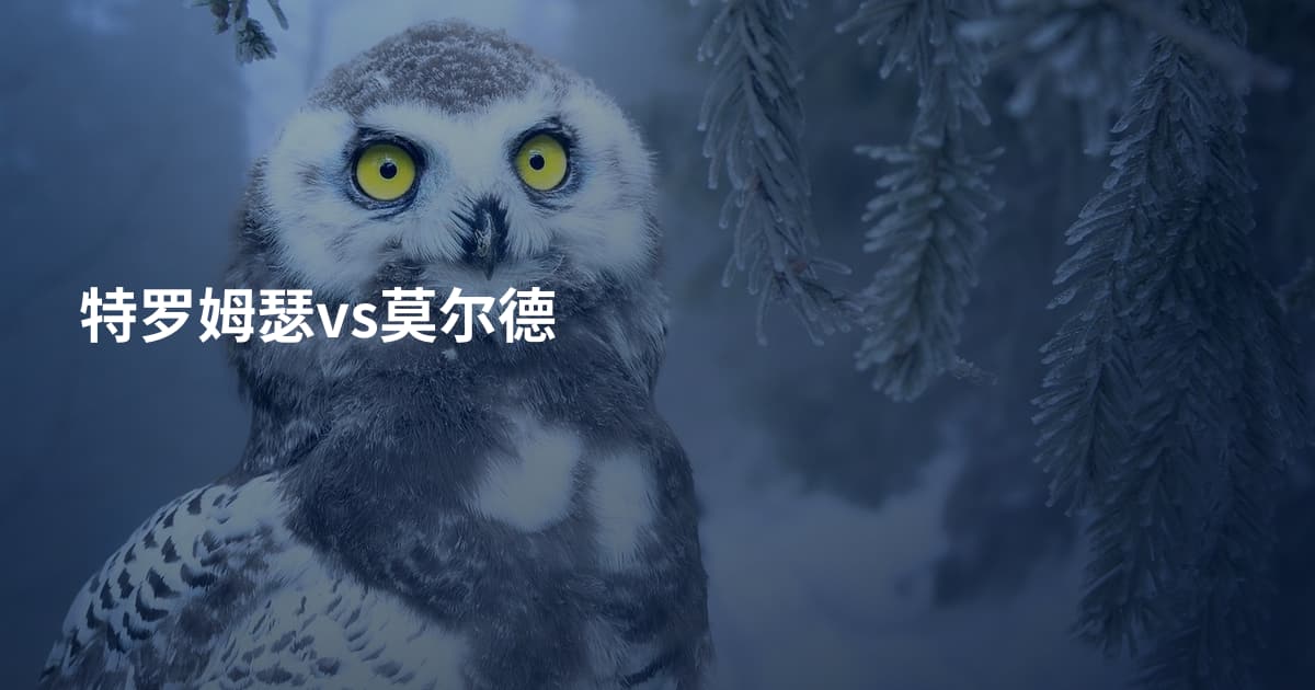 特罗姆瑟vs莫尔德