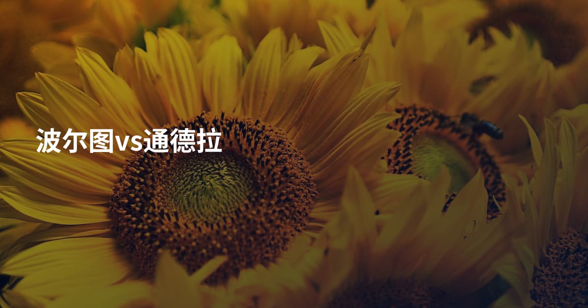 波尔图vs通德拉