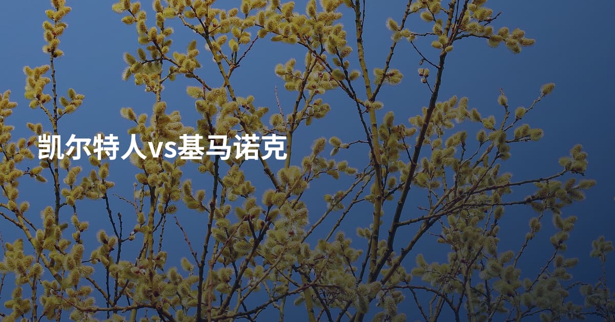 凯尔特人vs基马诺克