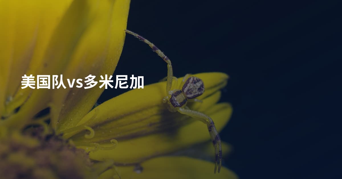 美国队vs多米尼加