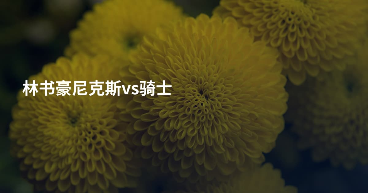 林书豪尼克斯vs骑士