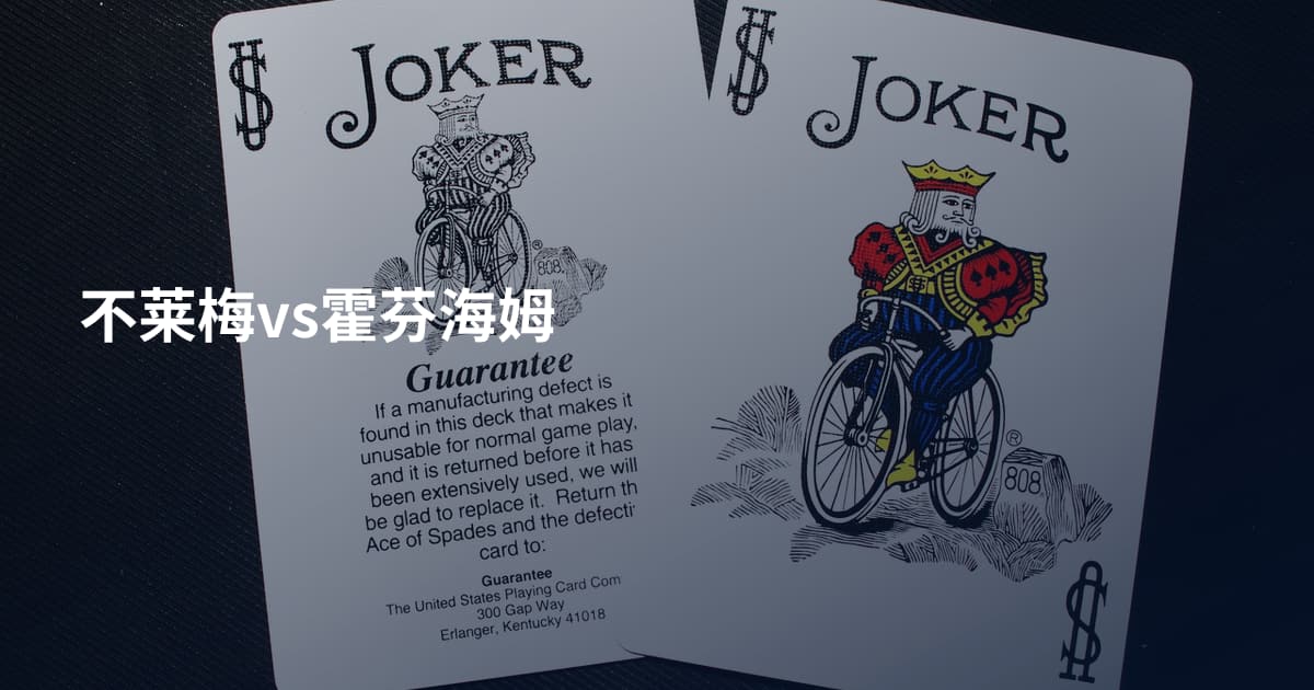 不莱梅vs霍芬海姆