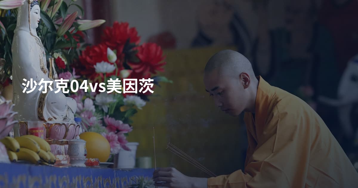 沙尔克04vs美因茨