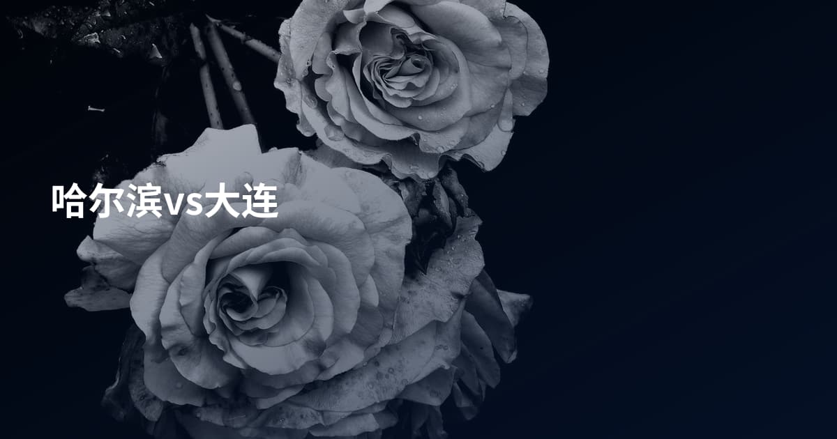 哈尔滨vs大连