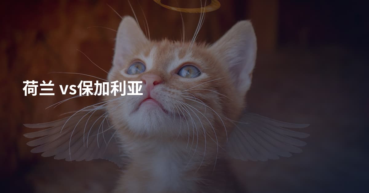 荷兰 vs保加利亚