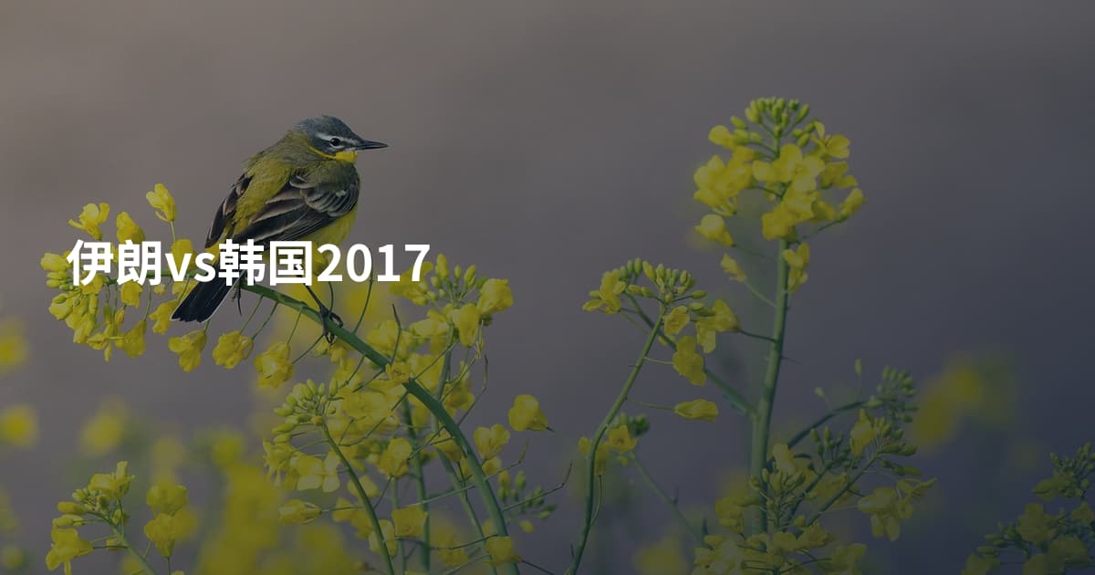 伊朗vs韩国2017
