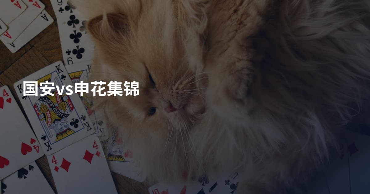 国安vs申花集锦