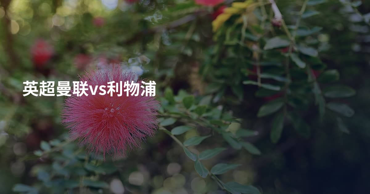 英超曼联vs利物浦