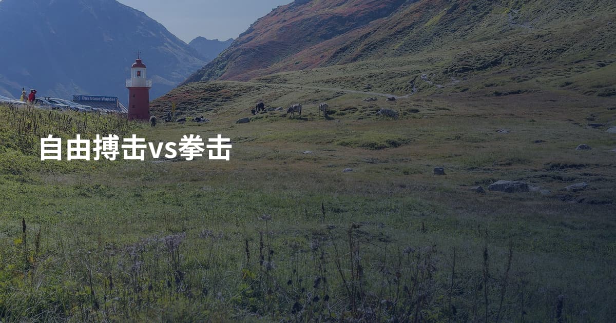 自由搏击vs拳击