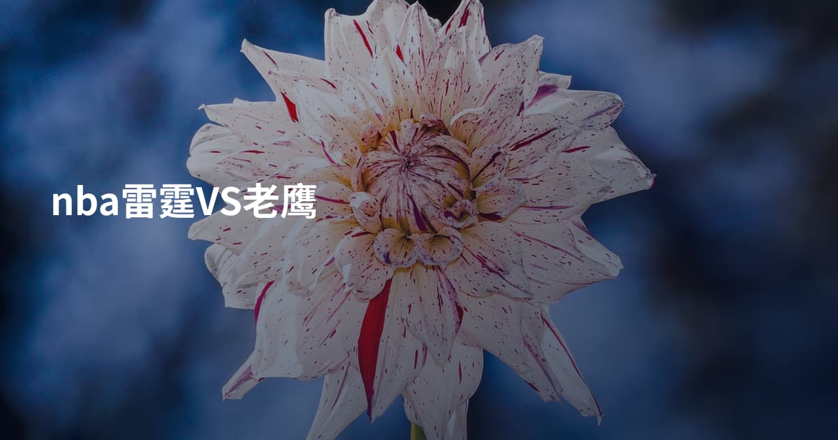 nba雷霆VS老鹰