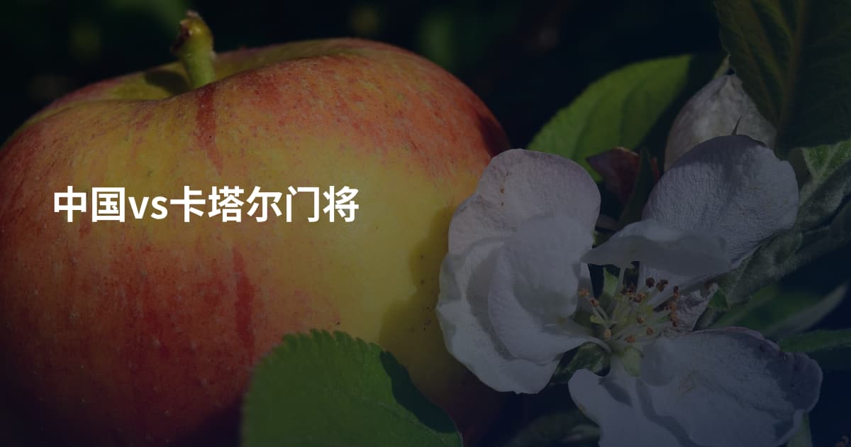中国vs卡塔尔门将